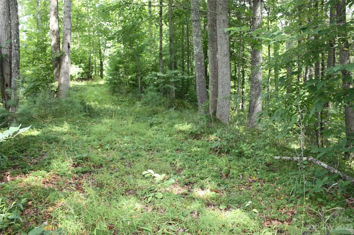 0 High Peak DR #37, Micaville, NC 28714