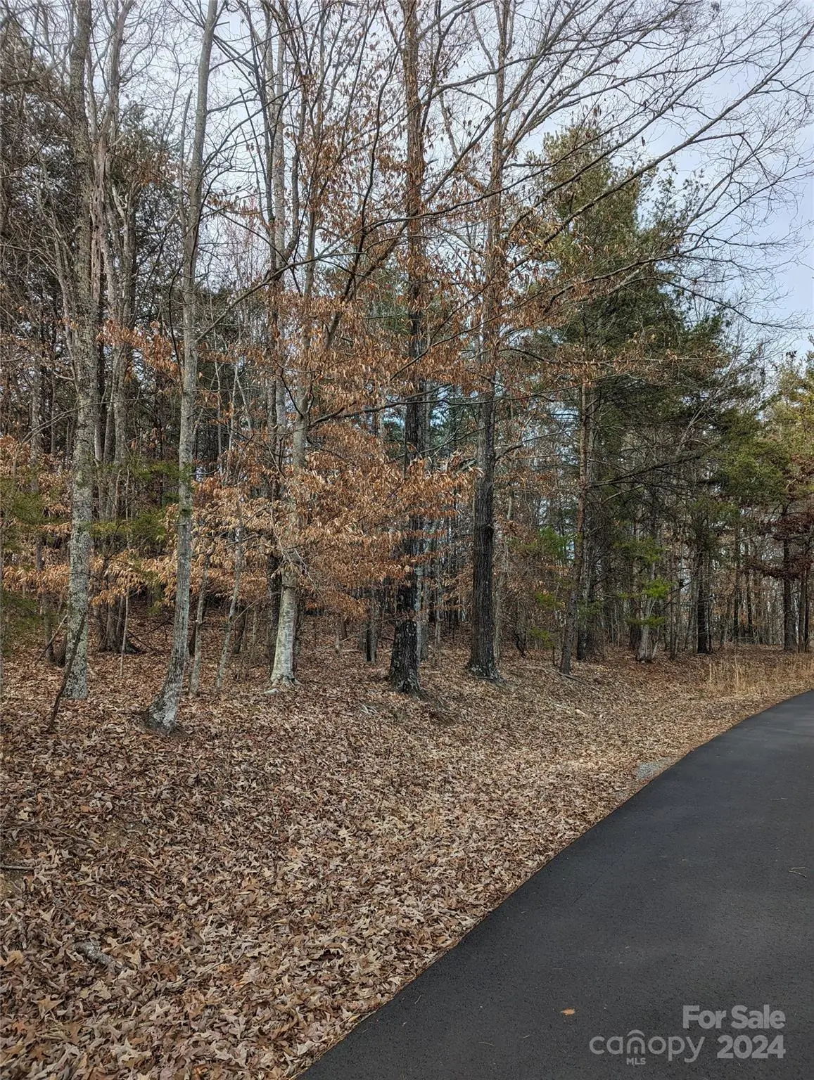 00 Laurel CIR, Columbus, NC 28722