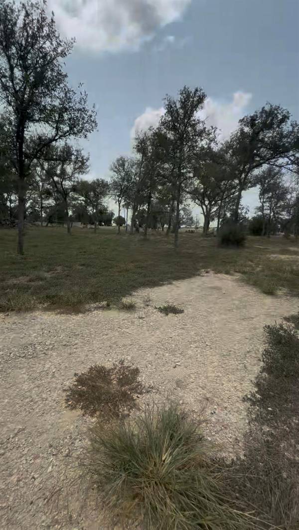 6070 Farm to Market 672, Dale, TX 78616