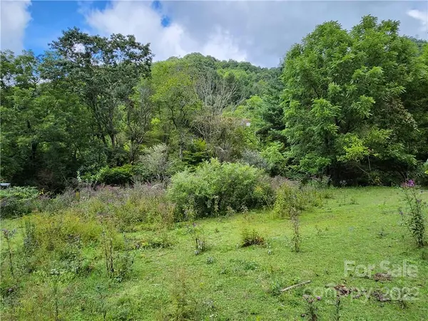 1108 Water Wheel CV, Clyde, NC 28721