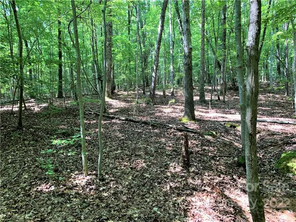 0 Nablus RD #4, Waxhaw, NC 28173