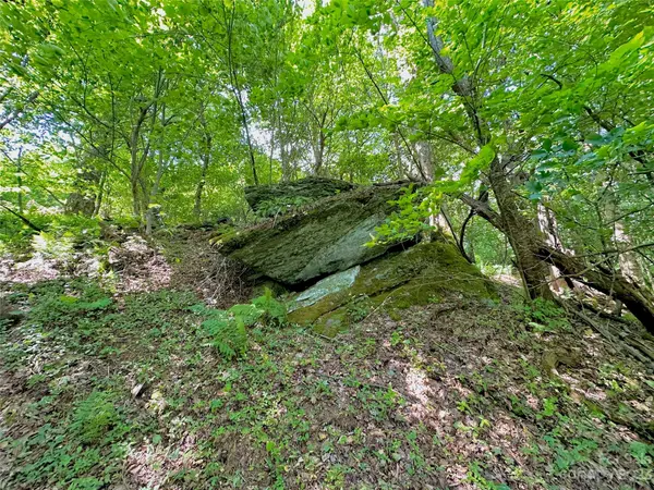 16/17 Spice Bottom TRL #16/17, Banner Elk, NC 28604