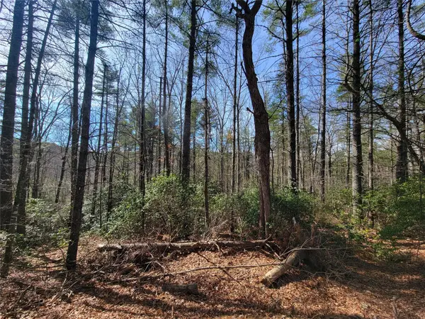 TBD Eagle DR, Fleetwood, NC 28626