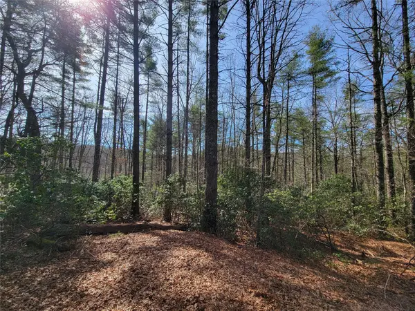 TBD Eagle DR,  Fleetwood,  NC 28626
