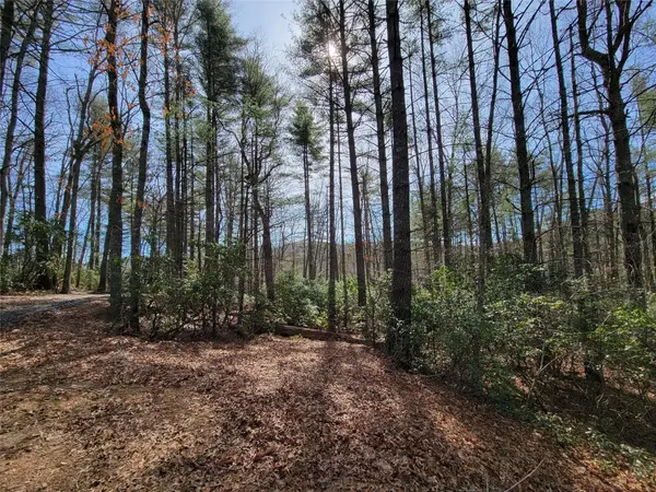 TBD Eagle DR, Fleetwood, NC 28626