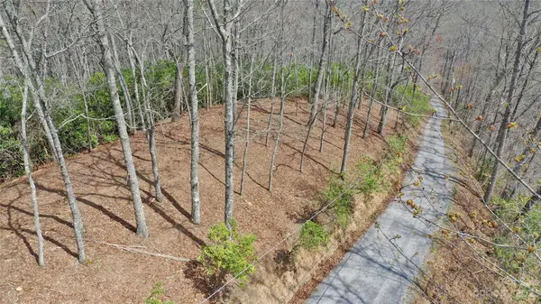 000 Cabin RDG #L & M, Cullowhee, NC 28723