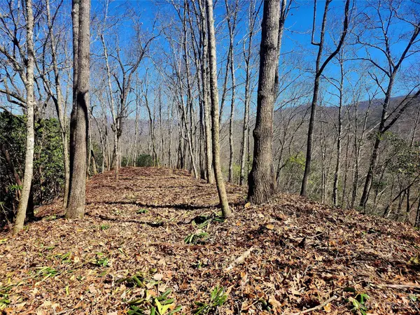 000 Cabin RDG #L & M, Cullowhee, NC 28723