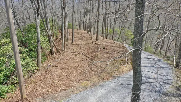 000 Cabin RDG #L & M, Cullowhee, NC 28723