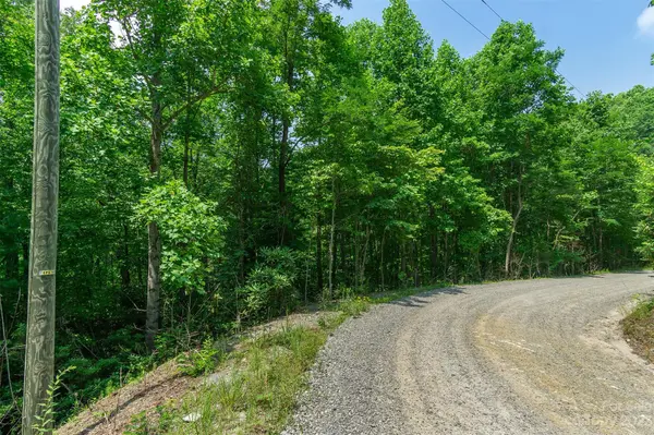 99999 Sand Branch RD, Black Mountain, NC 28711