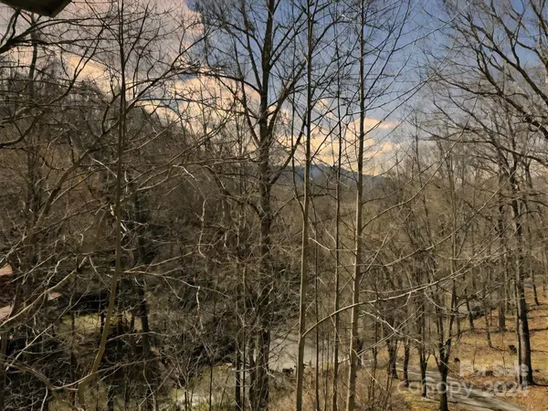 137 Camp Branch RD, Black Mountain, NC 28711