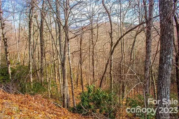9 Laurel Cottage LN, Black Mountain, NC 28711