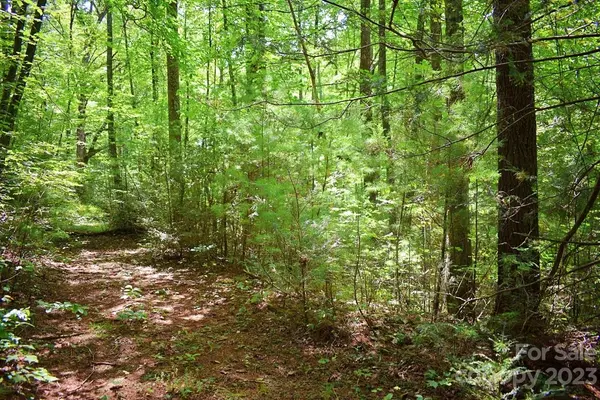 0 Never Blue RD, Flat Rock, NC 28731