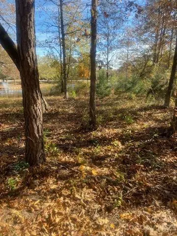 1045 Jonte LN, Manning, SC 29102