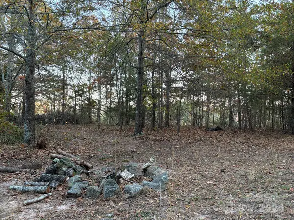 2338 Whiteside RD, Mill Spring, NC 28756
