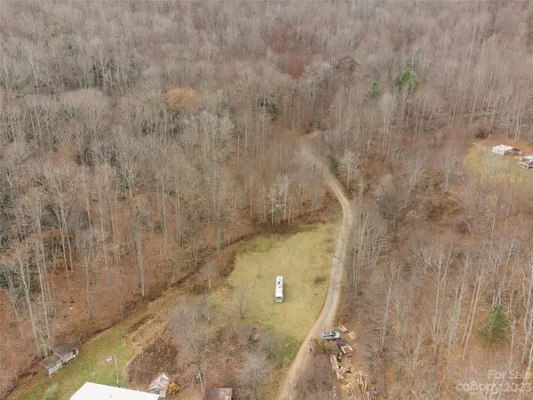 Tract 4 Upper Doe Bag RD, Green Mountain, NC 28740
