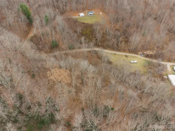 Tract 4 Upper Doe Bag RD, Green Mountain, NC 28740