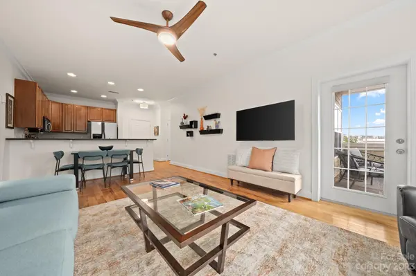 175 S Lexington AVE #203, Asheville, NC 28801