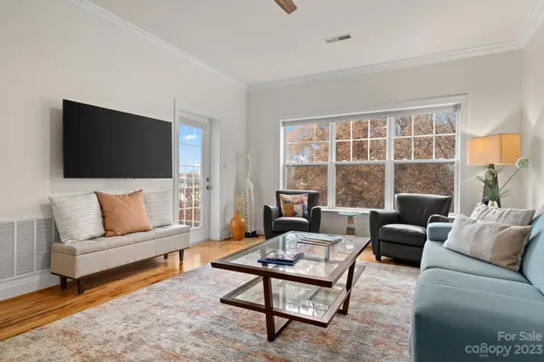 175 S Lexington AVE #203, Asheville, NC 28801
