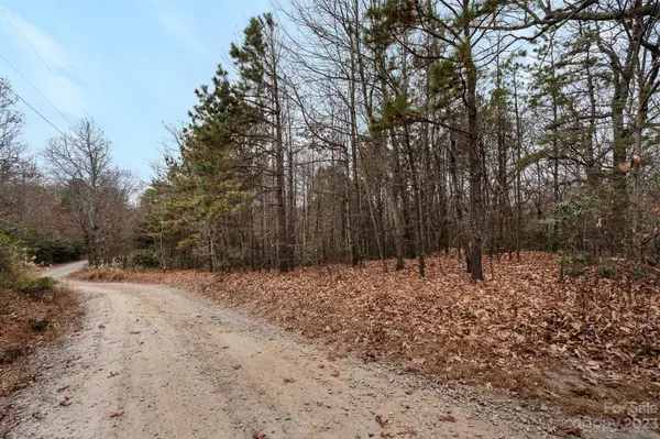99999 Burnt Ridge TRL, Black Mountain, NC 28711