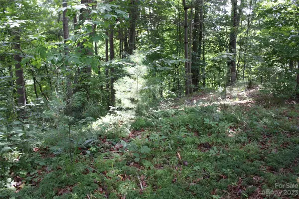 0 High Peak DR #37, Micaville, NC 28714