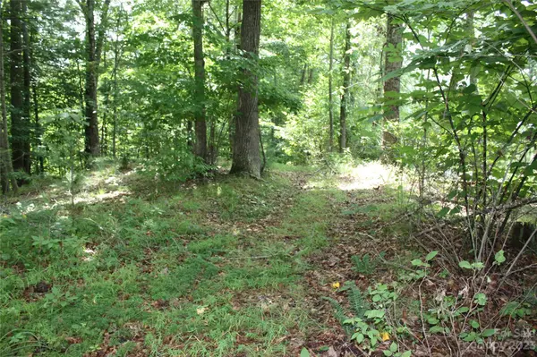 0 High Peak DR #37, Micaville, NC 28714