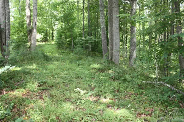 0 High Peak DR #37,  Micaville,  NC 28714