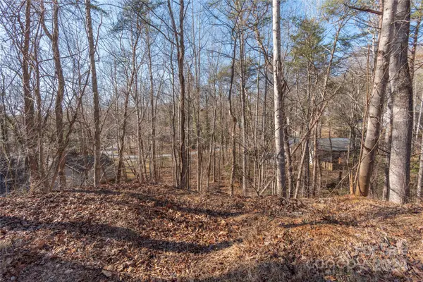 161 Hillside DR, Swannanoa, NC 28778
