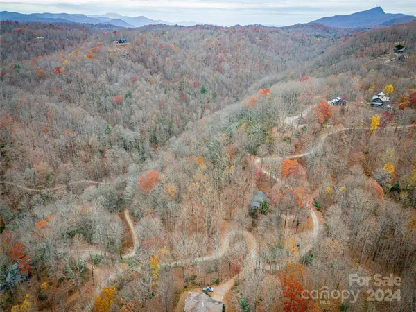 721 Bear Creek LN, Saluda, NC 28773