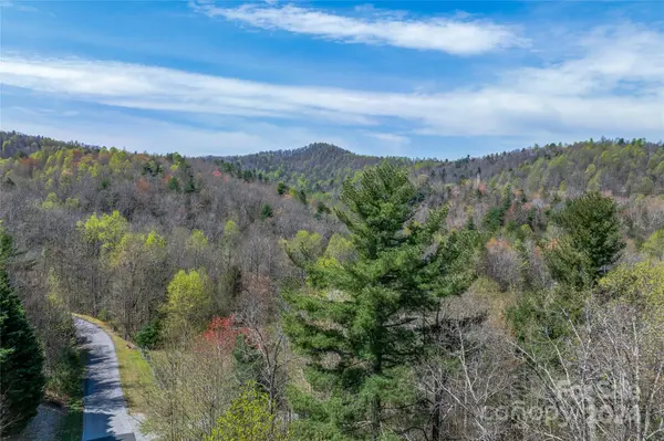 46 Creek Source LN, Saluda, NC 28773