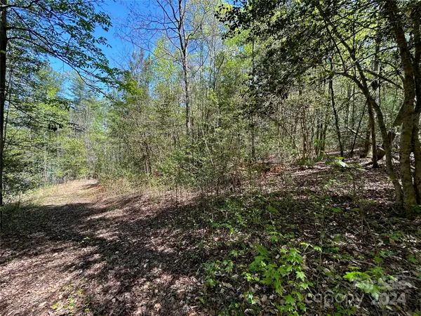 101 Beacon Ridge DR, Connelly Springs, NC 28612