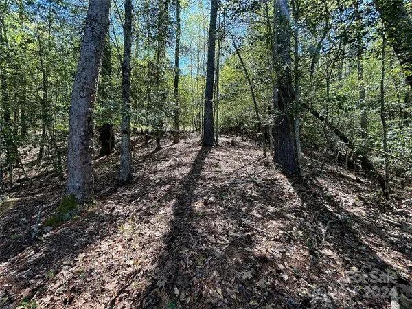 101 Beacon Ridge DR, Connelly Springs, NC 28612