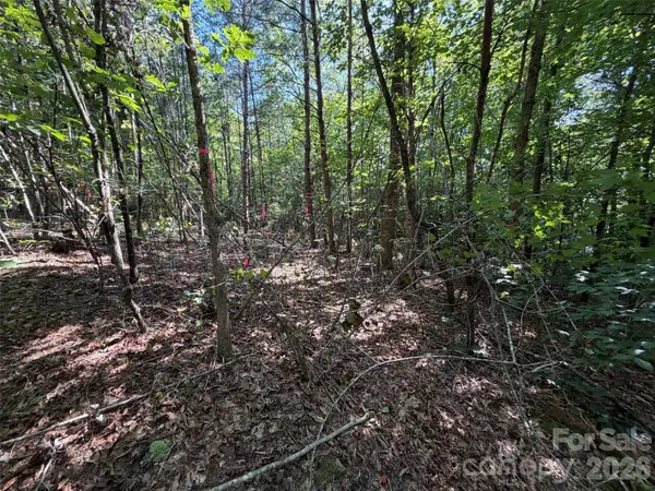 476 Southern WAY, Nebo, NC 28761