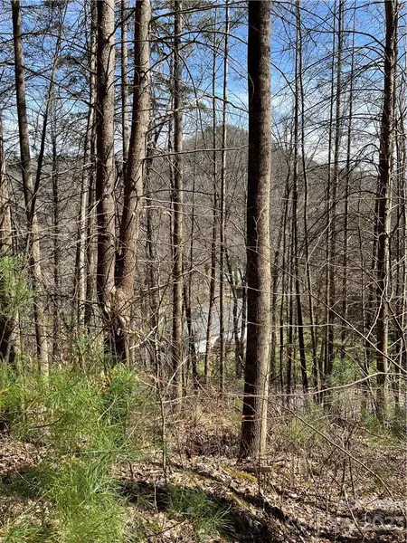 00 Running Deer NW Running Deer LN #65, Mars Hill, NC 28754