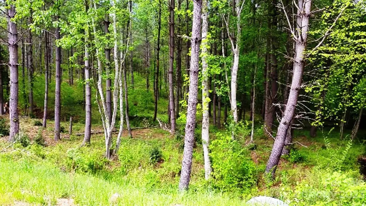 3277 Peninsula Pointe DR NW #88, Valdese, NC 28690