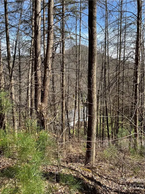 00 Running Deer NW Running Deer LN #65, Mars Hill, NC 28754