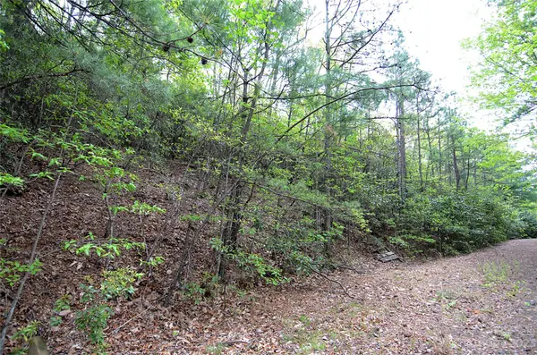 00 Linville DR #67, Marion, NC 28752