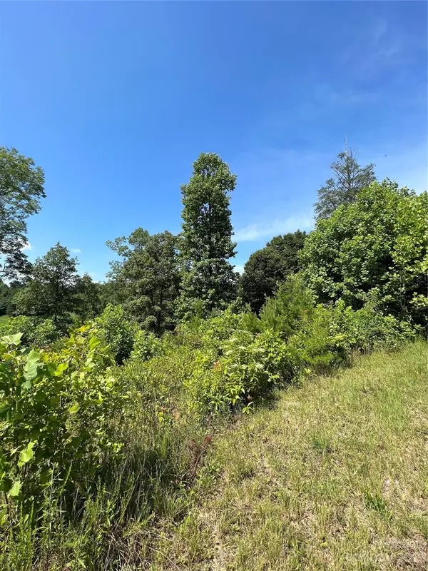 127 Buck Ridge DR #5,6 & 7, Marion, NC 28752