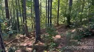 2073 Island View LN, Connelly Springs, NC 28612