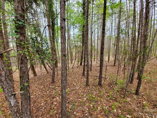 2515 Forest Lawn DR, Weddington, NC 28104