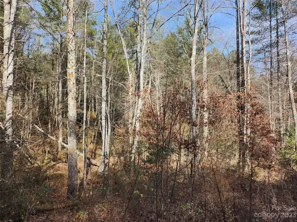 3277 Peninsula Pointe DR NW #88, Valdese, NC 28690