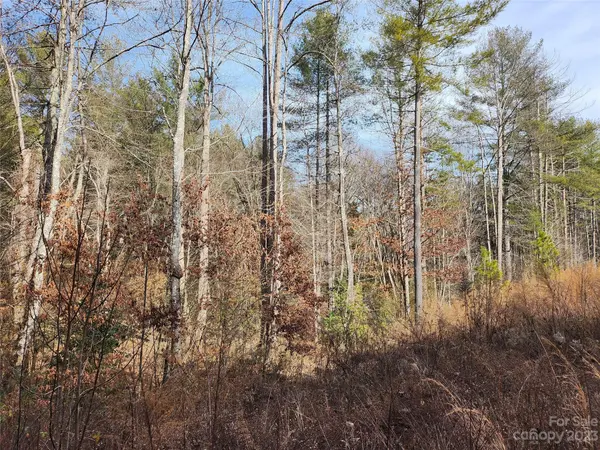 3277 Peninsula Pointe DR NW #88, Valdese, NC 28690