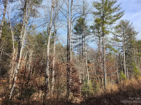 3277 Peninsula Pointe DR NW #88, Valdese, NC 28690