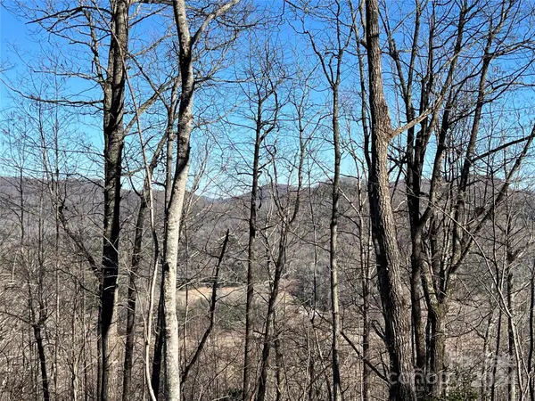 242 Black Bear Ridge TRL, Zirconia, NC 28790
