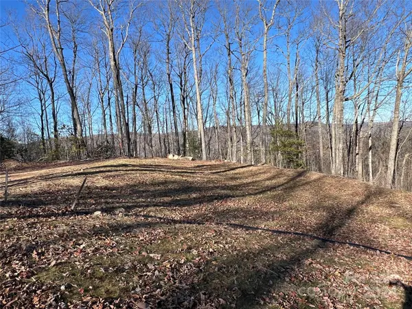 242 Black Bear Ridge TRL, Zirconia, NC 28790