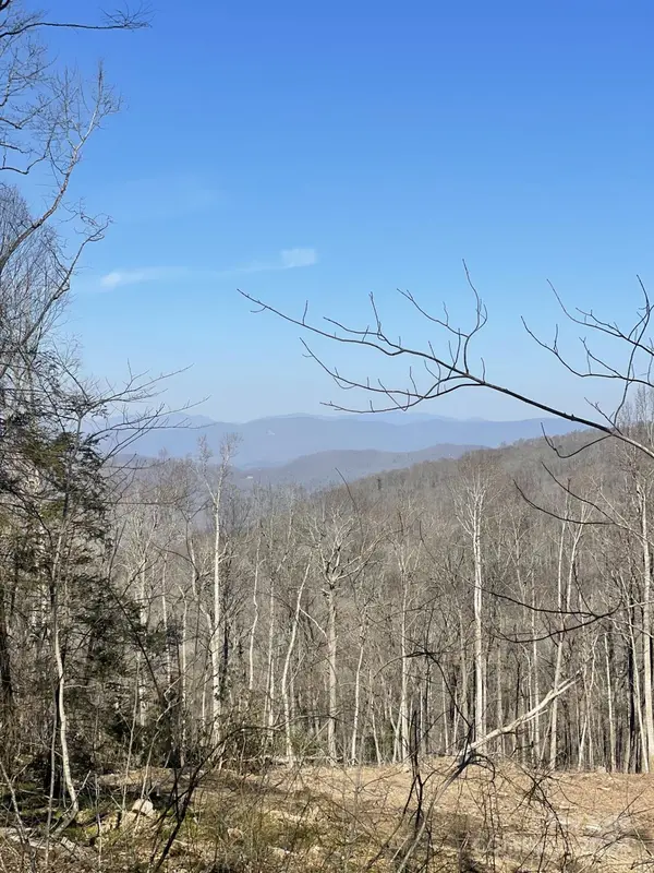 0000 West Garden TRL #Lot 55, Hendersonville, NC 28792