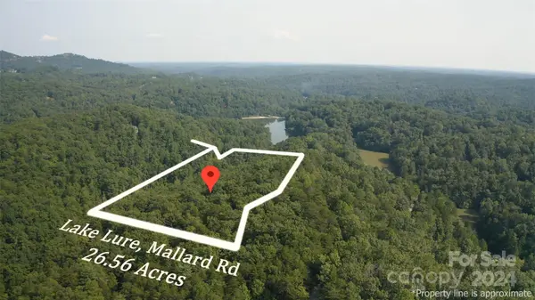 0 Mallard RD,  Lake Lure,  NC 28746