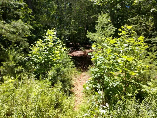 00 James View RD #1, Marion, NC 28752