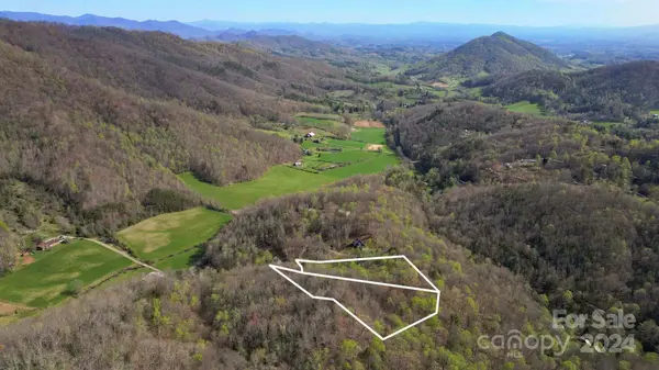 99999 Michele LN, Leicester, NC 28748