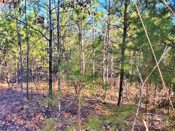 0 Rock Ridge RD, Mill Spring, NC 28756