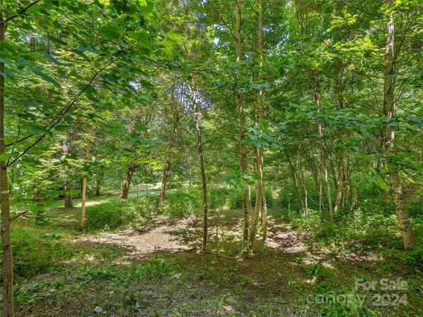 00 Red Bank RD, Waynesville, NC 28786
